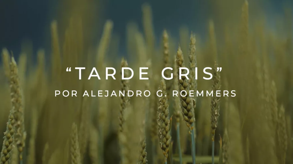 Videopoema de Alejandro G. Roemmers - Tarde Gris
